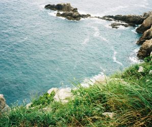 [여름 특집] 나도원의 ‘돌아·가다’ – 여름섬